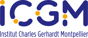 logo-icgm.png